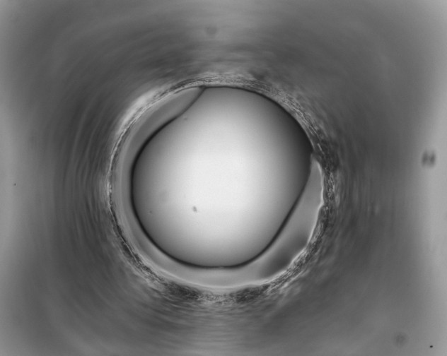 X0000098210340200805081140