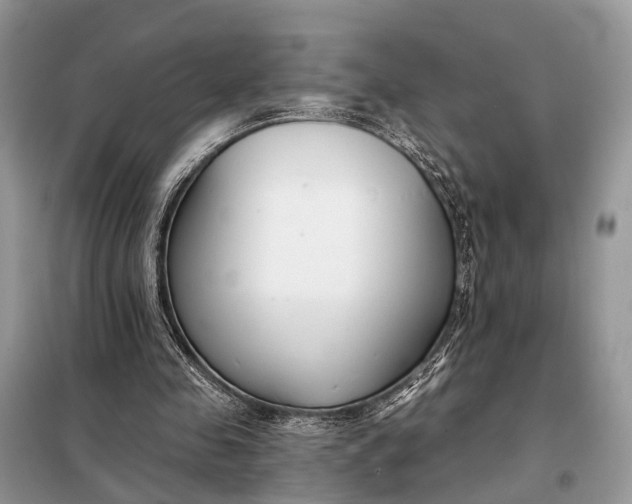 X0000098210341200805081140