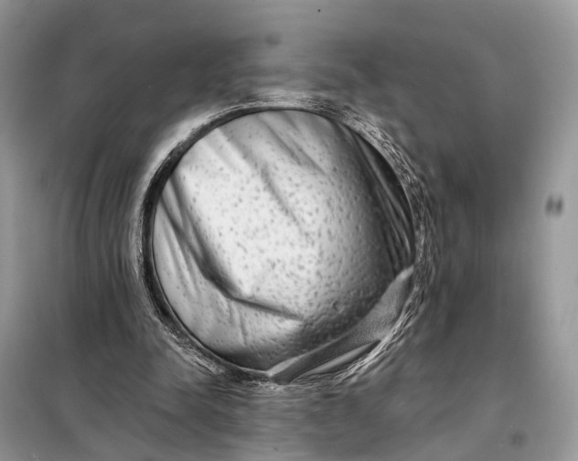 X0000098210342200805081140