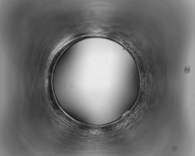 X0000098210344200805081140