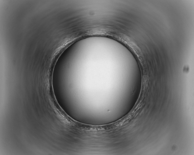 X0000098210345200805081140