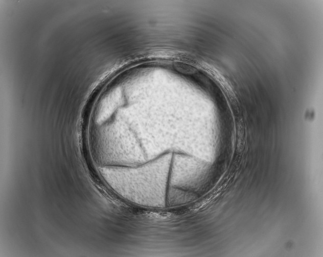 X0000098210346200805081140