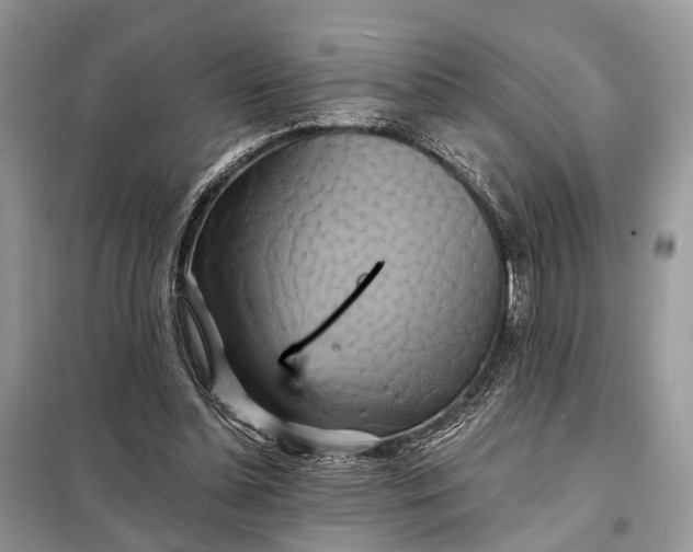 X0000098210348200805081140