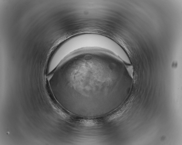 X0000098210349200805081140