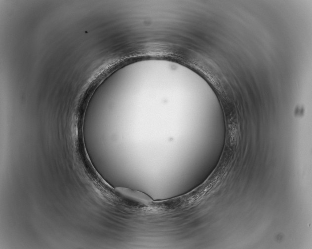 X0000098210350200805081140