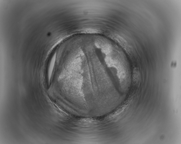 X0000098210351200805081140