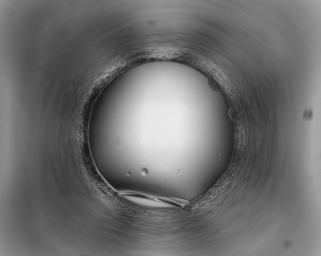 X0000098210354200805081140