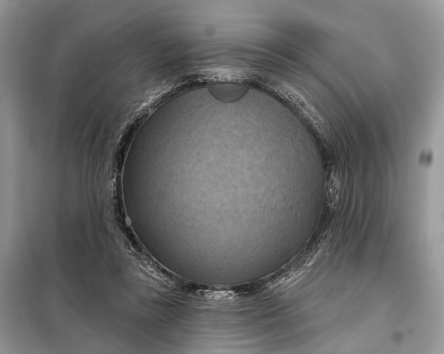 X0000098210355200805081140