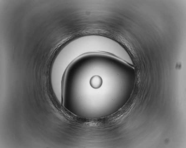 X0000098210356200805081140