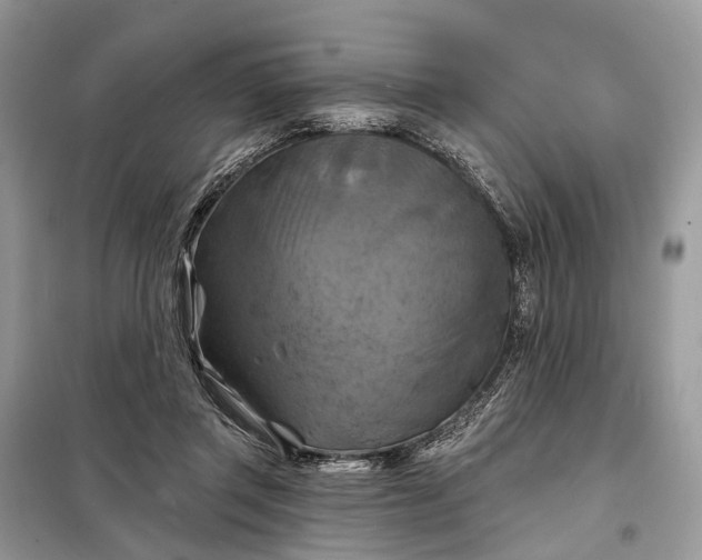 X0000098210357200805081140