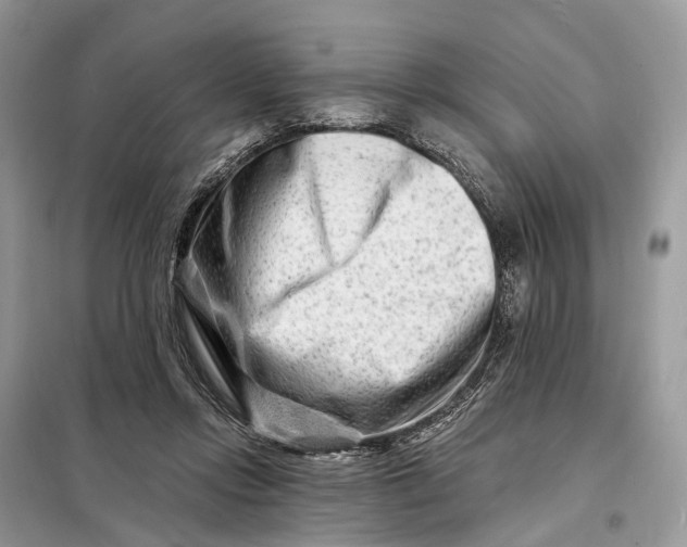 X0000098210358200805081140