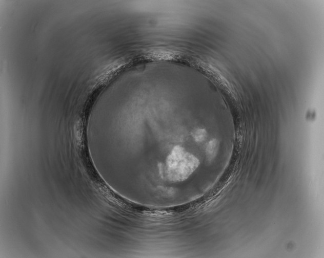 X0000098210359200805081140