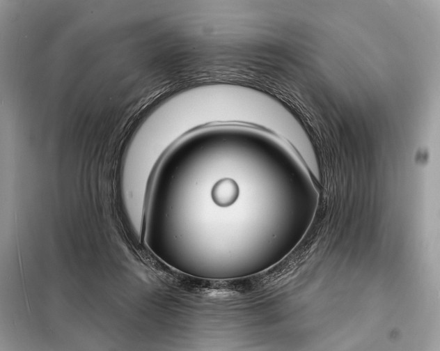 X0000098210360200805081140