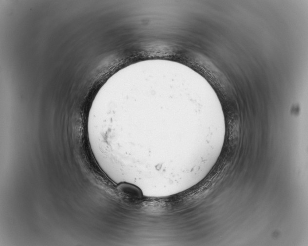 X0000098210362200805081140