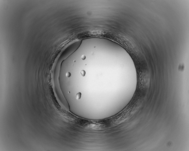X0000098210364200805081140