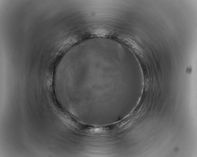 X0000098210365200805081140