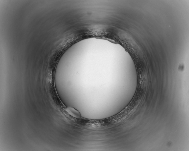 X0000098210368200805081140