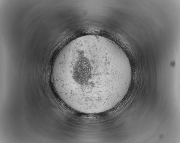 X0000098210370200805081140