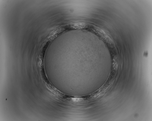 X0000098210371200805081140