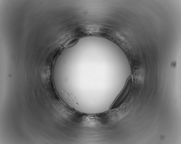 X0000098210372200805081140