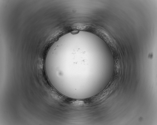 X0000098210374200805081140