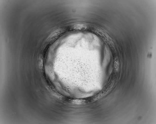 X0000098210375200805081140