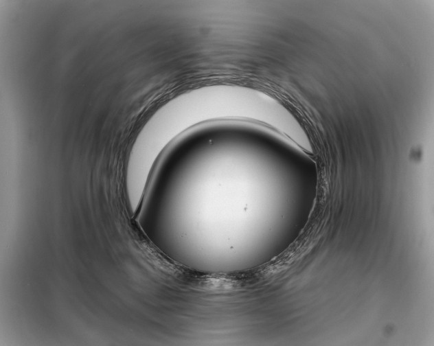 X0000098210376200805081140
