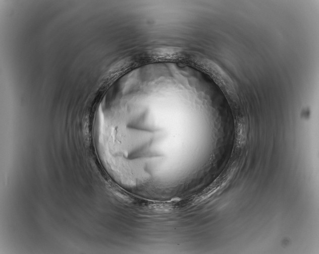 X0000098210377200805081140