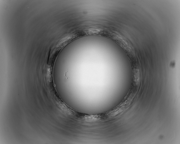X0000098210378200805081140