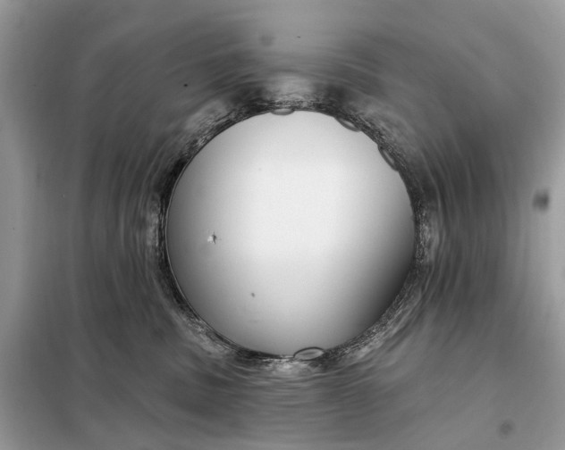 X0000098210379200805081140