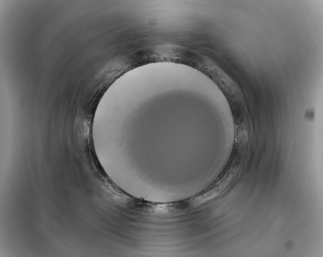 X0000098210382200805081140