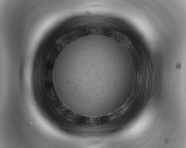 X0000098210383200805081140