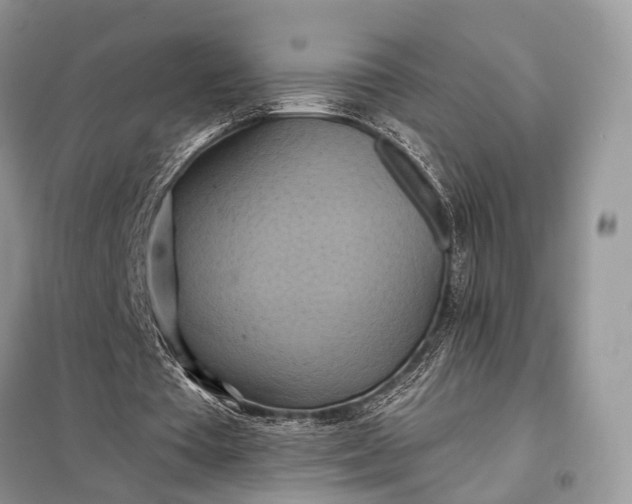 X0000098210385200805081139