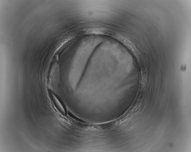 X0000098210386200805081139