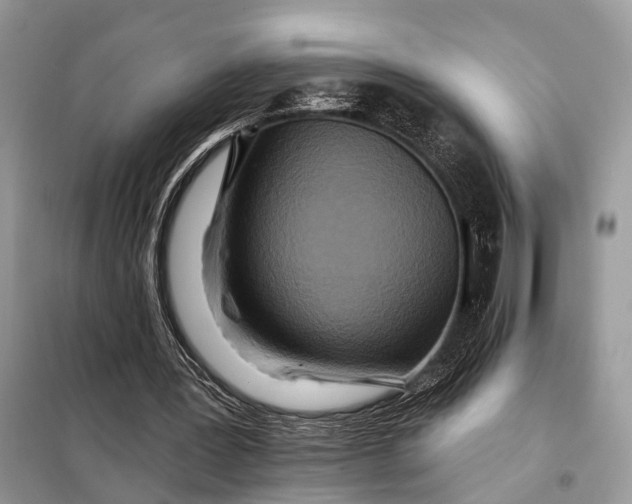 X0000098210387200805081139