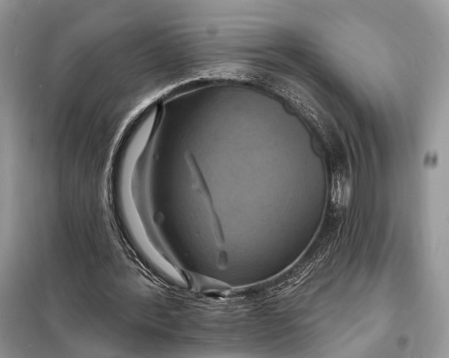 X0000098210388200805081139