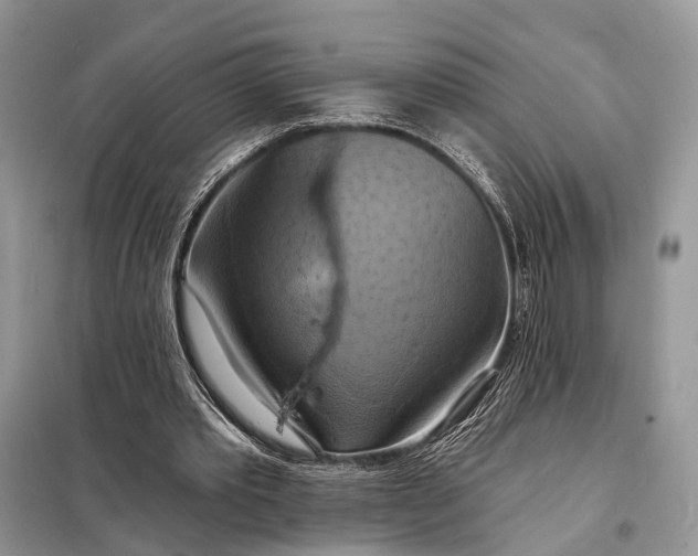 X0000098210389200805081139