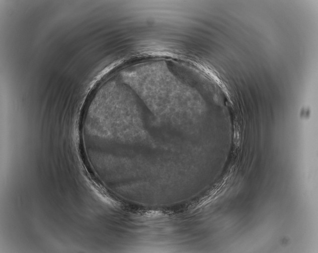 X0000098210390200805081139
