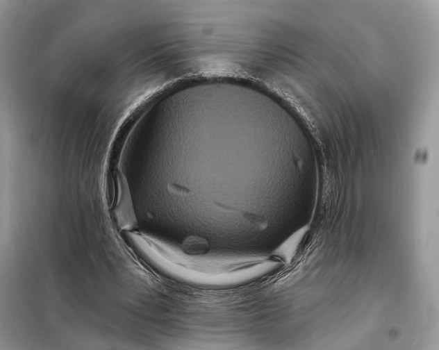 X0000098210391200805081139