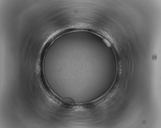 X0000098210392200805081139