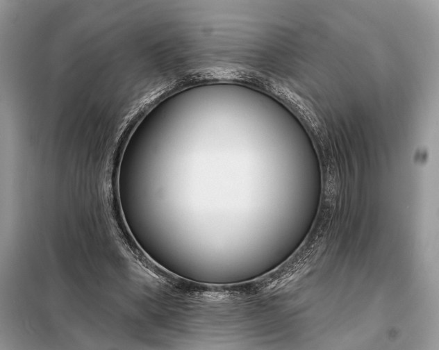 X0000098210394200805081139