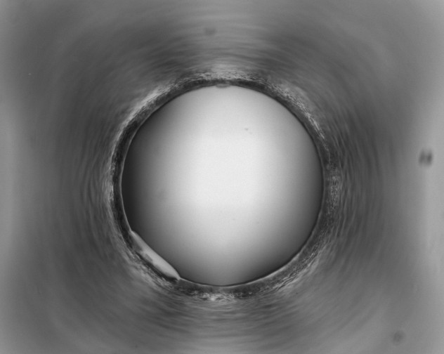 X0000098210395200805081139