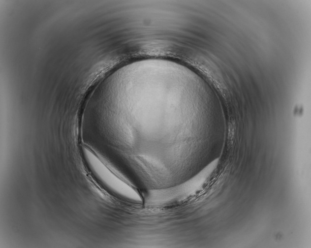 X0000098210397200805081139