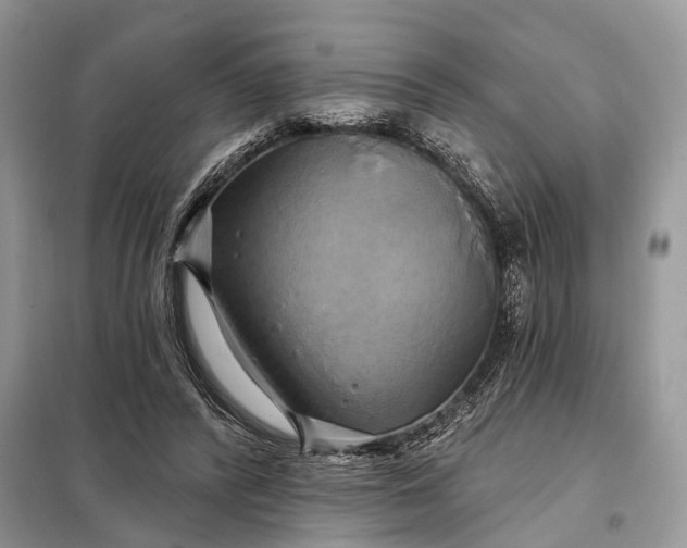 X0000098210400200805081139