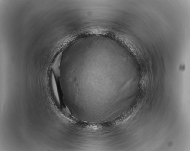 X0000098210402200805081139