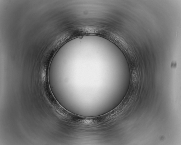 X0000098210406200805081139