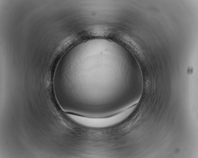 X0000098210407200805081139