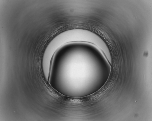 X0000098210409200805081139