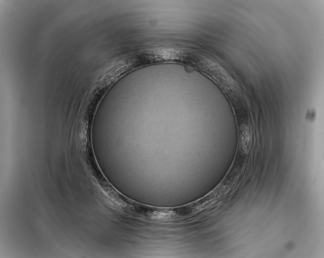 X0000098210410200805081139