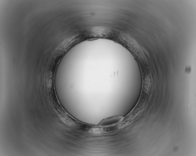 X0000098210413200805081139